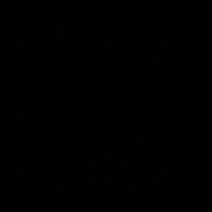 Meet your Posher, Rowaida